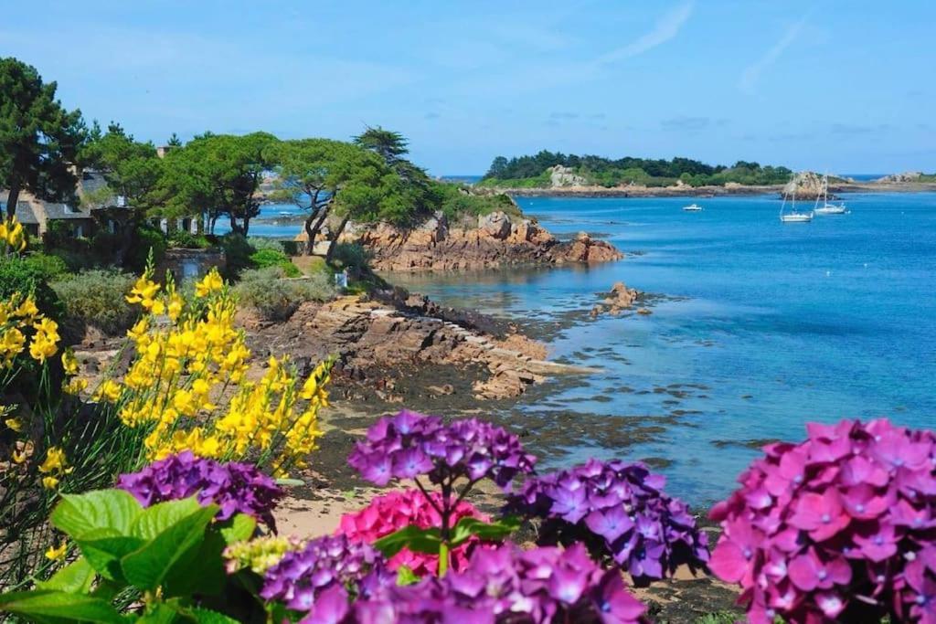Chez Tad Kozh Maison Familiale Paimpol Esterno foto